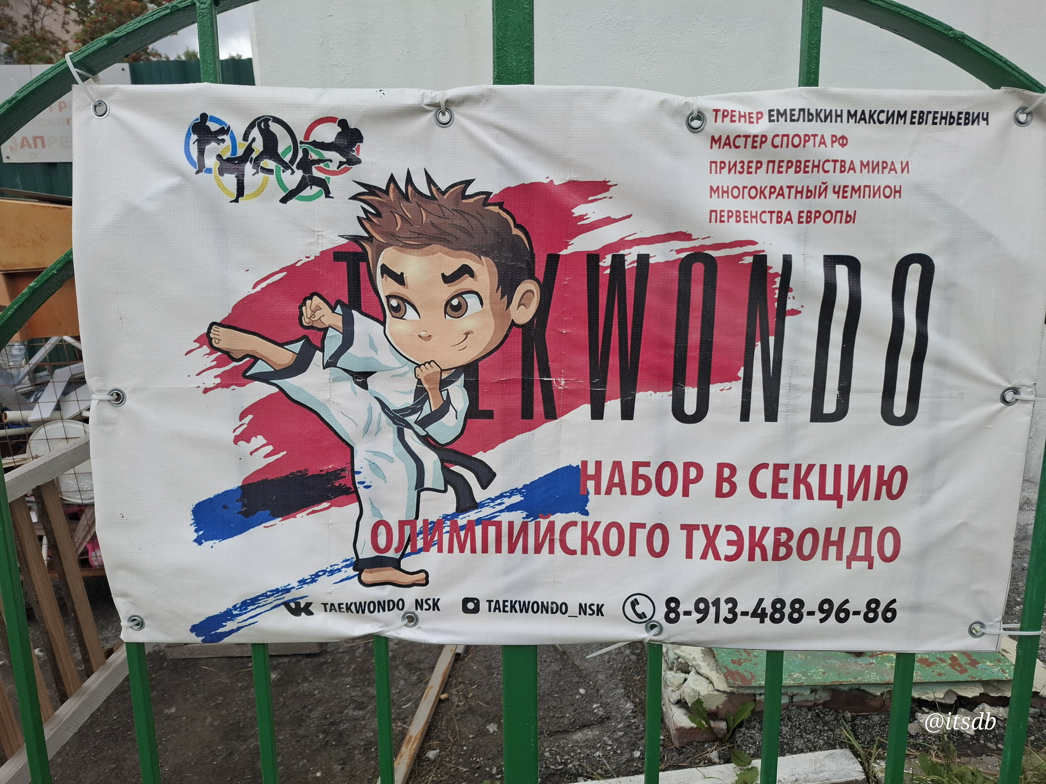 секция олимпийского Тхэквондо